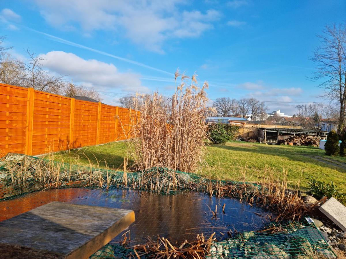 Liebevoll Eingerichtetes Haus Mit Grossem Garten In Dresden - Telefonnummer Und Video Unter Www Fhvn De ภายนอก รูปภาพ